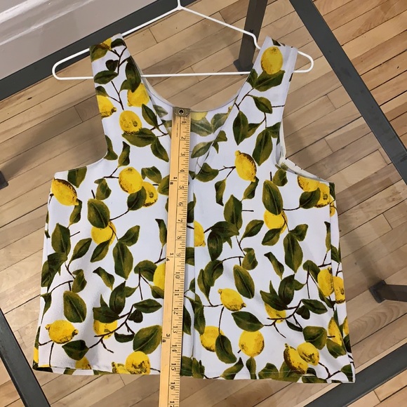 🟥SOLD 🟥 Zara - Lemon Pattern Crop Top - Picture 6 of 6